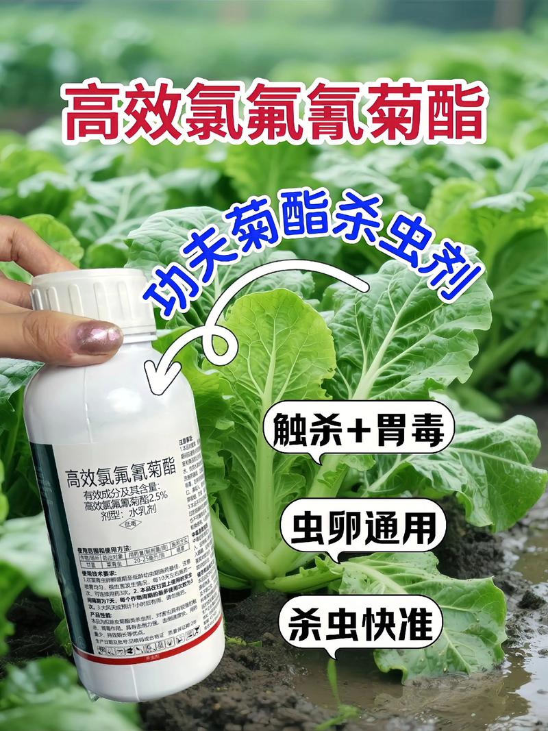 长宁代生中心:农药对供卵代生妈妈的危害